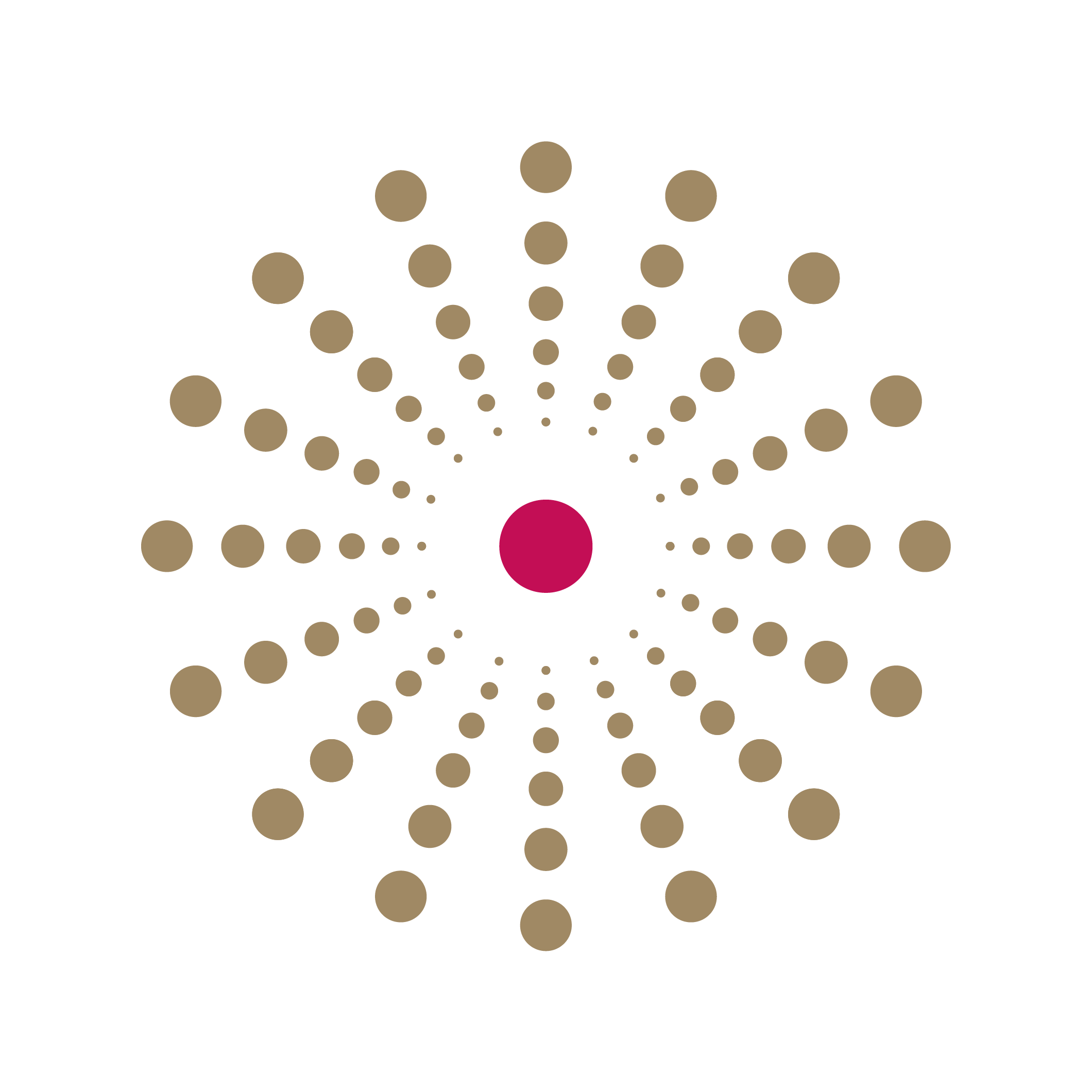 LatticePoint Consulting