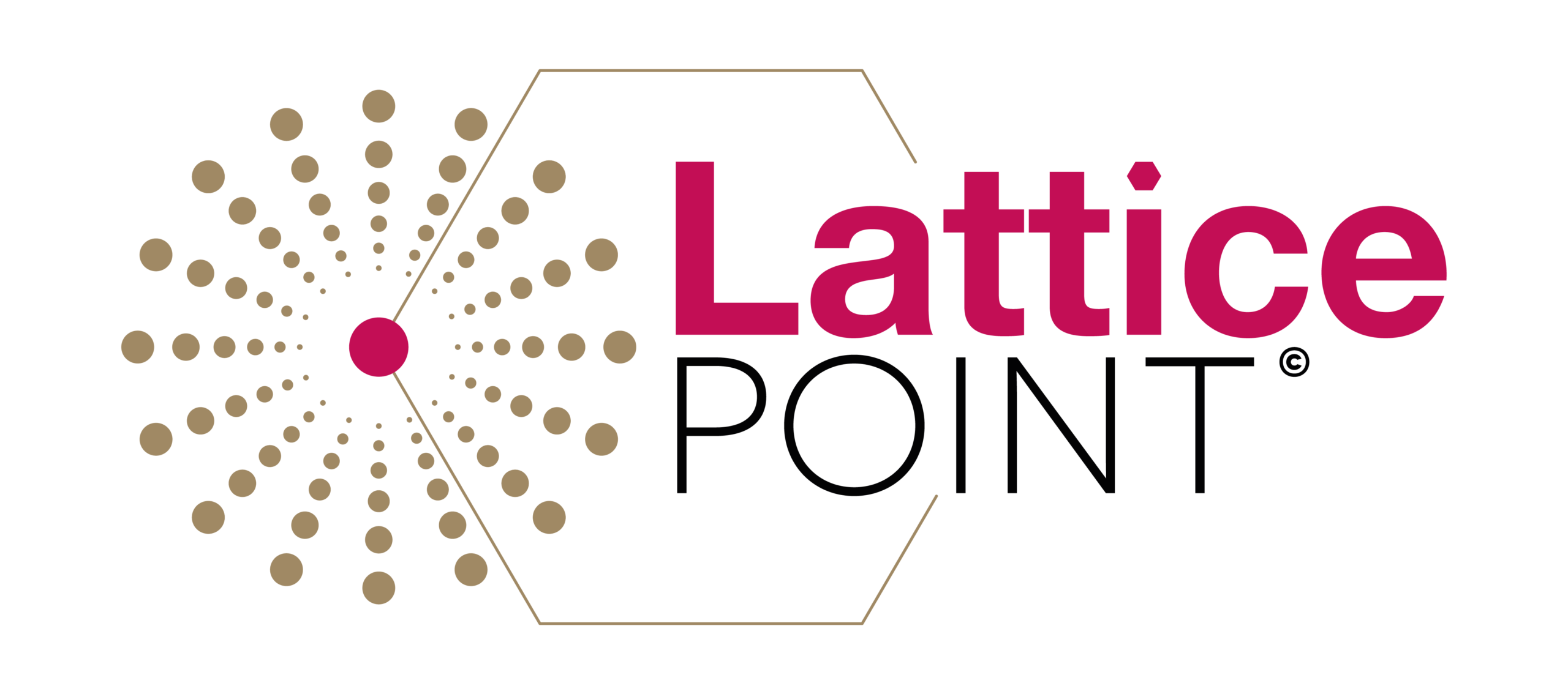 LatticePoint Consulting